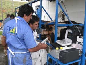 Vídeo de Apresentação dos Cursos de Ultrassom e Aspiração Folicular na Reprodução Bovina