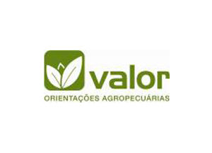 Valor