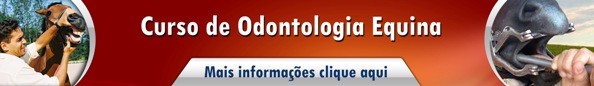 Odontologia Equinos2