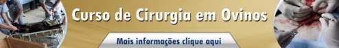 CIRURGIA EM OVINOS2