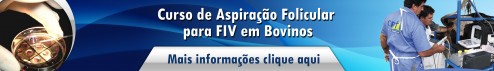 Aspiração Folicular em bovinos