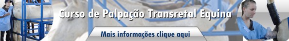 US E PALPAÇÃO - BANNER