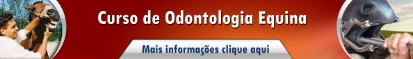 Odontologia Equinos