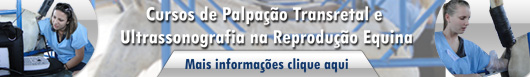 Palpação-Transretal-e-Ultrassonografia-na-reproducao-Equina