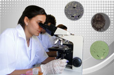 principais-exames-laboratoriais-em-pequenos-animais