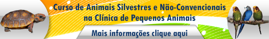 Animais Silvestres- BANNER