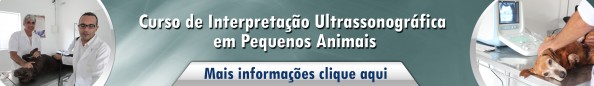 Interpretação Ultrassonográfica em Pequenos Animais