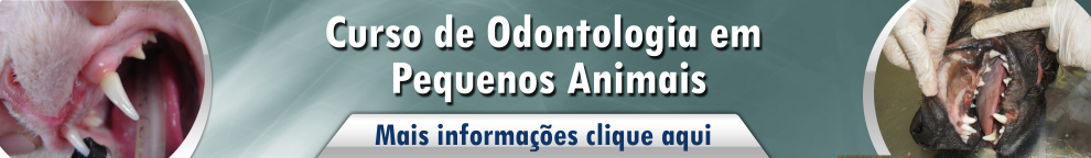 odontologia em pequenos animais