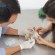 animais silvestres-videos
