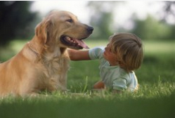 cão e criança