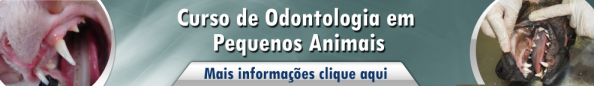 odontologia em pequenos animais