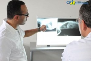 A importância da capacitação profissional - radiografia em pequenos animais