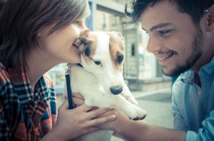 Os cuidados com os animais de estimação