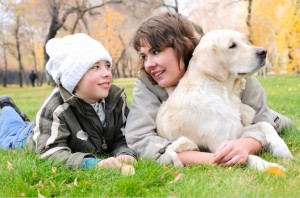 Os cães utilizam a postura e olhares para comunicação