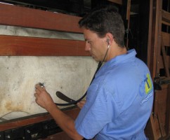 exame clínico em bovinos