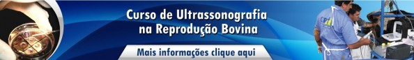 curso de ultrassonografia na reprodução bovina