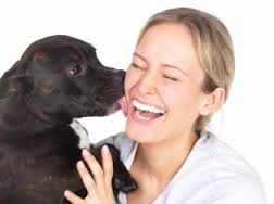 cão e veterinária - novo