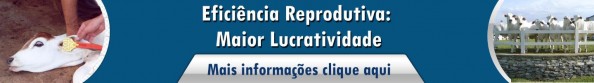 eficiência reprodutiva - maior lucratividade