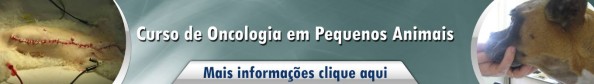 curso de oncologia em pequenos animais