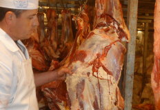 Recorde nominal de preço da carne bovina