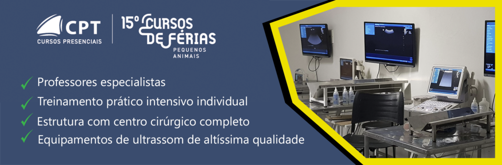 Curso de férias em pequenos animais