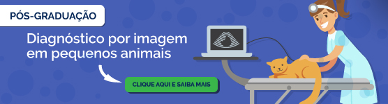 Diagnótico por imagem em pequenos animais