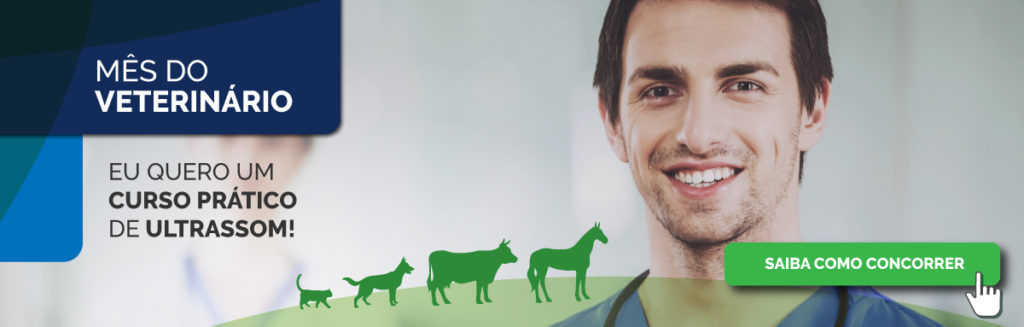 mês do veterinário