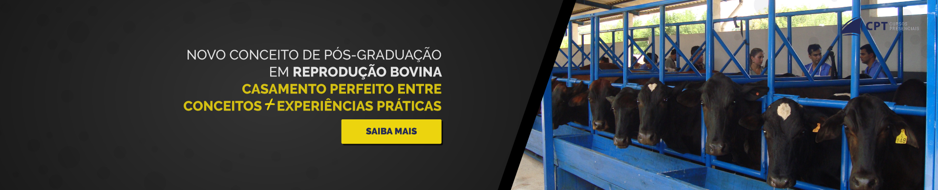 Reprodução de bovinos