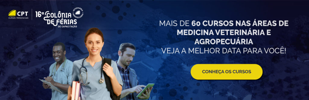 16ª colônia de férias