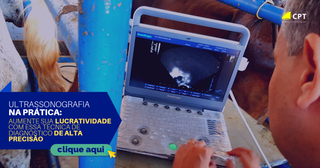 curso-us-bovinos-banner-com-botão