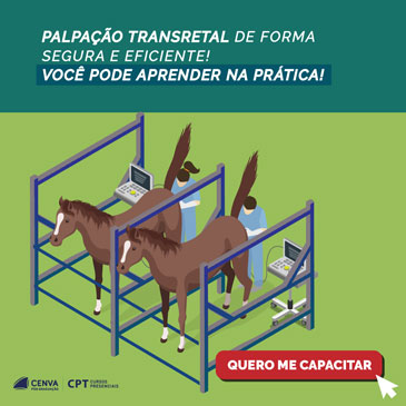 Curso de Palpação Transretal em Equinos