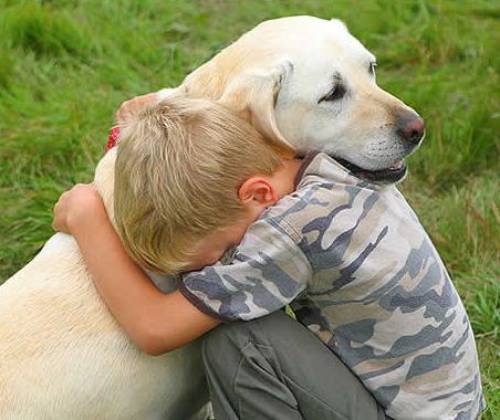 Os animais são nossos amigos