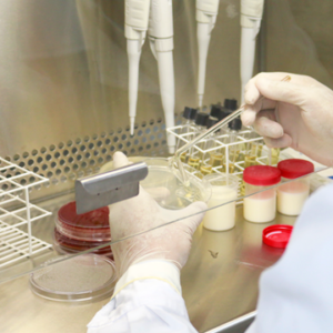 Exames Laboratoriais Veterin\u00e1rios: conhe\u00e7a a import\u00e2ncia