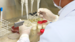 Exames Laboratoriais Veterinários conheça a importância