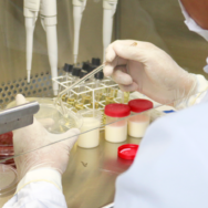 Exames Laboratoriais Veterinários conheça a importância