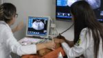 Gestação de cadelas a ultrassonografia no acompanhamento veterinário